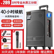 이동형 야외 스피커 광장 700W 시위용 행사용 스퀘어 댄스 오디오 스피커 k 노래 성능 휴대용 소형 야외 모바일 레버 무선 마이크가있는 전문 전용 고출력 볼륨 블루투스 서브 우퍼, 5 14인치스피커프로페셔널퍼포먼스스피커+무선마이크+32