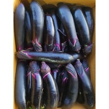 가락싱싱 못난이 가지 3kg 5kg (상품), 가지3kg