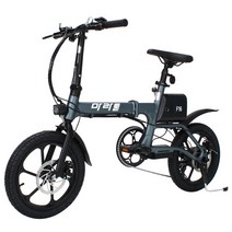 마라톤 16인치 접이식 전기자전거 CMS-F16, 그레이