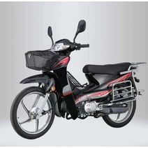 110cc 125CC 오토바이 전기 스쿠터 전동 바이크, 내셔널 포 110 실버 화이트 디럭스 에디션