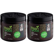 Fresh Wave 프레쉬웨이브 냄세제거젤 425g 2개