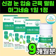 60대 신경 손 눈 떨림 마그네슘 마그네숨 영양제 추천 뼈 붙는데 좋은 노인 왼쪽 얼굴 눈밑 발저림 부모님 건강 식품 다리 근육 경련 50대 중년 여성 엄마 눈썹 몸 손끝 눈꺼풀, 3개, 90정