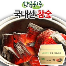 [황금뒤주] 흑탄 구이용 숯 바베큐 참숯 10kg