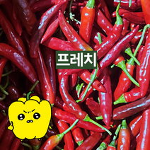 프레치 국내산 빨간 청양홍고추, 10kg(상), 1개