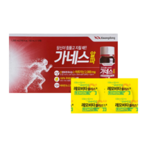 광동제약 가네스 알파 100ml 10병+레모비타2정, 단품