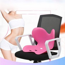 허리지지 쿠션 딱딱한 에스라인 일자목 굽은등 바른자세 하드 S라인 나비 GW747CD4 보조의자 블랙/그레이, 그레이