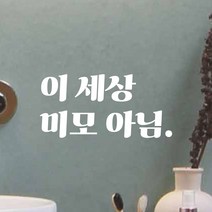 모노먼트 레트로 감성 거울 매장 레터링 스티커 - 이 세상 미모 아님, LG-051, 흰색