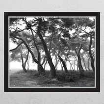 [바보사랑] 장수의상징소나무_창문그림액자, 타입선택:E타입모던블랙