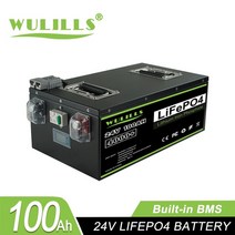 캠핑파워뱅크 충전식 배터리 안전 금속 케이스 24v 100Ah 200Ah 48v 50Ah lifepo4 RV 캠핑카 태양열 세금 없음 120Ah, 1.24v 100AH-B