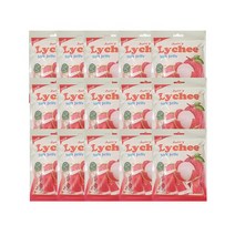 쥬시리치젤리 100g X 15봉지/망고스틴젤리/제리/과일젤리, 15, 15개
