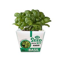 [두두엠] 그로우키트 허브 바질 키우기