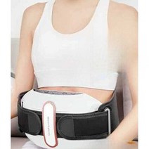 배마사지기 배 허리 진동 안마기 온열벨트 복부찜질, 복부 마찰 기구(기본 모델) 플러그인 모델