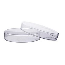 과학실험용 과학실 유리 샬레 페트리디쉬 60mm