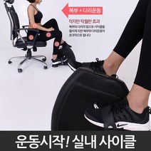 좌식바이크 미니 실내 가정용 집에서 헬스 실내용 자전거