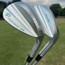FUJISTARZodia 골프 클럽 샌드 웨지 프로토 단조 탄소강 CNC 헤드 일반 강성 스틸 샤프트 포함, 09 50 With Shaft