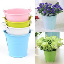 소형 선인장 양철화분, 핑크