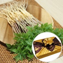 장보리 전남 무안 수경재배 새싹삼 선물세트 특 100뿌리, 기본상품