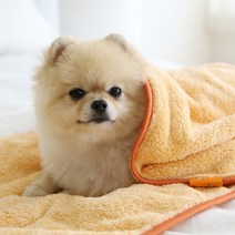 국내생산 강아지 고양이 털 말리기 펫 타올 극세사 애견 샤워 목욕 습식 발 수건 타월 대형견 팻 개