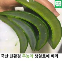 국내산 무농약 친환경 생 잎 알로에 베라 2kg 3kg 5kg 10kg 국산 유기농 알로에베라 식용 알로에잎 사포나니아 생잎 알로에주스 알로에팩, 5kg파치상품