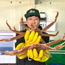 수율보장 100% 당일조업 산지직송 영덕대게 국산 대게, 영덕대게 (대) 5마리