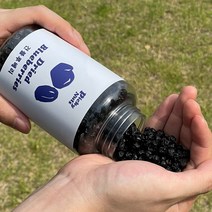피키너츠 건크랜베리 건블루베리 건과일, 지퍼형 블루베리 400g