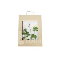 어린이집 자연학습 투명 식물채집 액자만들기 키트 다문화센터 교회