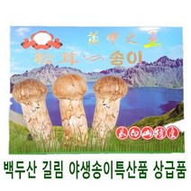 자연산 송이버섯 백두산 길림 야생 건조 50g 특산품 한방재료 대륙의약초, 1set