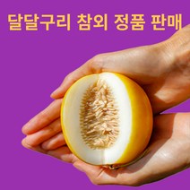 고당도 참외 소과 중과 대과 정품, 성주 참외 가정용 3kg(4~14과) 혼합과, 1개