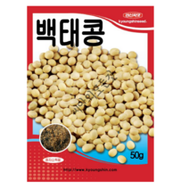 국산 백태콩 씨앗 50g 토종 메주올콩 종자 경신종묘, 01.백태콩