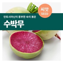 마이플랜트 수박무(과일무) 씨앗 100립, 단품없음
