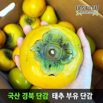 이츠올릿 태추 부유 단감 5kg 10kg 진영 대추 창원 청도 창녕 땡감, 단감 10kg 50~70과, 상세페이지 참조2