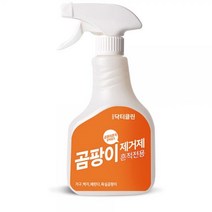 닥터클린 팡이제로 벽지 베란다 욕실 곰팡이제거제 방지 세정제, 곰팡이제거제 500ml 1개