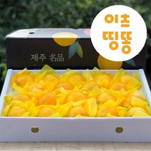 가정용 산지직송 제주도 서귀포 고당도 황금향 타이벡 극조생 노지 감귤 밀감 3kg 5kg, 타이벡감귤, 7.5kg(로얄과)