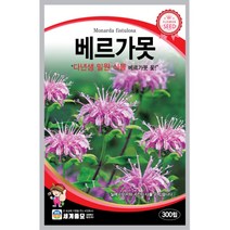 세계 베르가못 벨가못 모나르다 bergamot seed 씨앗 씨 꽃씨 종자, 겹꽃 봉선화