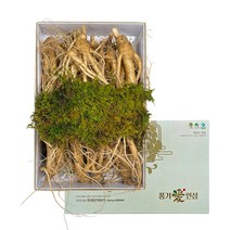 효능에 차이가 없는 난발삼 인삼 500g/750g [세척 비세척] 세척시 비닐포장, 750g세척 비닐 포장