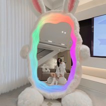 곰돌이 전신거울 곰모양 베어브릭거울 인터넷 연예인 행복한 토끼 마술 거울 바닥 전신 맞춤, 1.흰토끼 특수거울-기타-없음