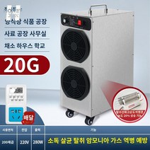 공업용 작업 현장 이동식 오존 발생기 소독기 기, 인디펜던트 클래스: 20g 업그레이드 모델