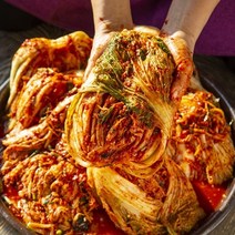 담가 보내드리는 맛있게 매운 습습 실비김치, 5kg, 1개