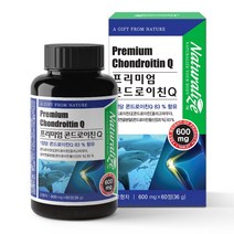 라이즈 프리미엄콘드로이친60정