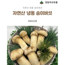 생명나무 꽃송이버섯 복합 발효효소 건강분말, 250g, 2개