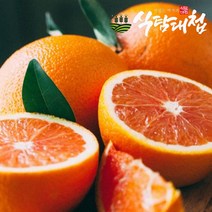 식탐대첩 카라카라 오렌지 중과25개 약4.7kg, 1개