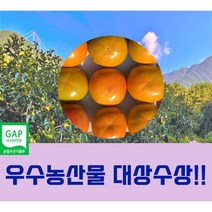 고당도 창녕 화왕산 단감 특품 10kg(32과내외)