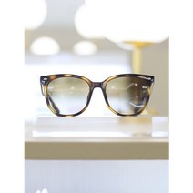 레이밴(선글라스) 레이밴선글라스 RB 4379D 71013 (55)