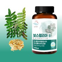 GNC 관절 보스웰리아 효능 프리미엄정 1 000mg 60정 (2개월분)