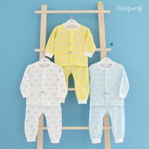 달퐁 샤이폭스긴팔내의 봄 가을용
