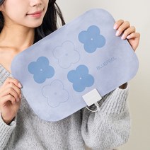 블루필 히트롤 USB 전기방석