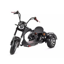 EMTB 자토바이크 엄마자전거 전기팻바이크 C 바이 2000W 모터 리튬 성인용 저렴한 세발, 04 Black