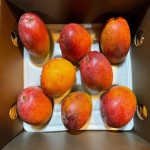 달콤함 향과 맛 제주산 제주직송 최상품 애플망고 가정의달 선물, 특대3kg, 1개