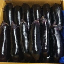 알뜰농장 햇 가지 실속형 국내산 전남 평동/나주 5kg내외, 햇 가지 실속형 5kg내외