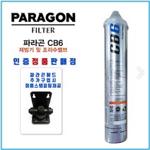 파라곤필터 cb6 sr6 파라곤헤드, 1개